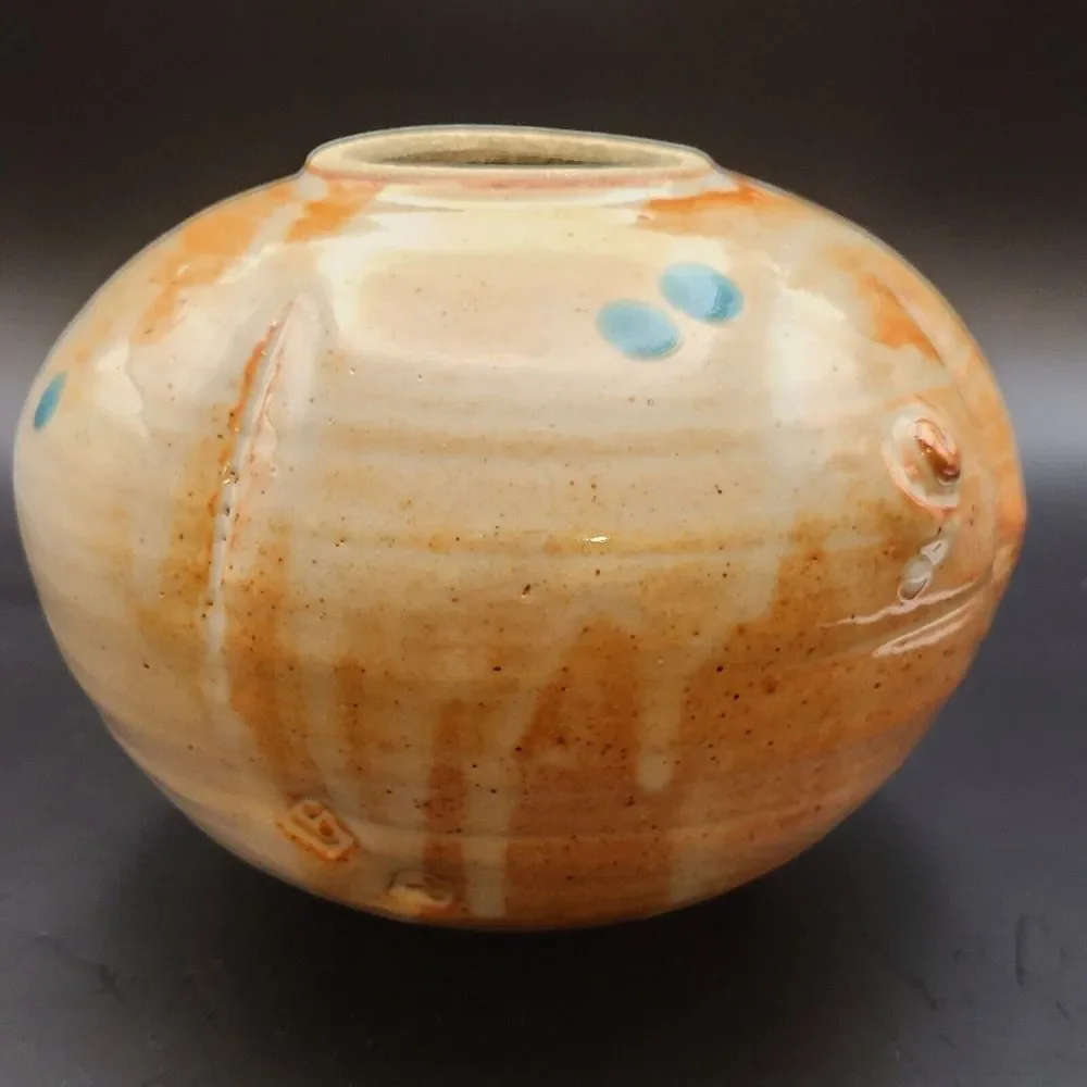 Will and Johanna DeMay Pottery Rare Buffalo Canister Jar W Lid Southwest 7